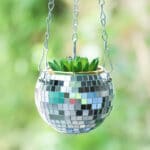 disco planter wholesale