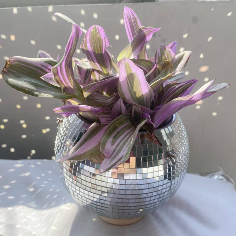 mini 4inch 10cm disco ball planter