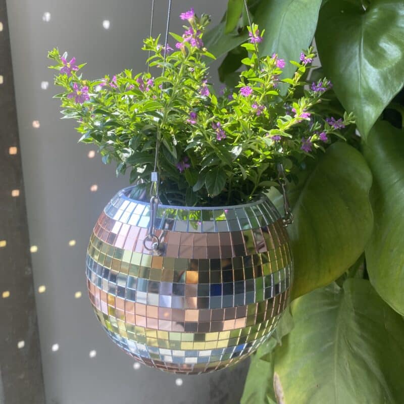 disco ball planter