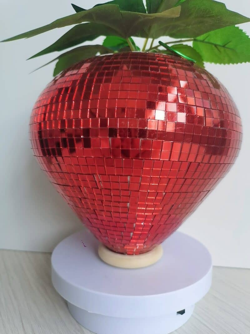 disco strawberry