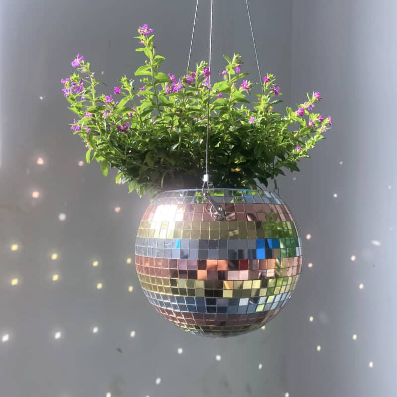 disco ball planter