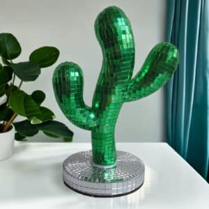 disco creative cactus