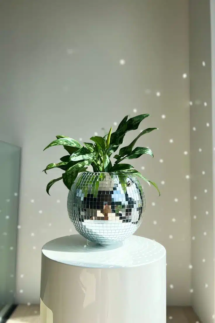 Best ways to use disco ball planters in home decor
